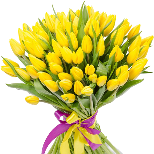 Желтые тюльпаны